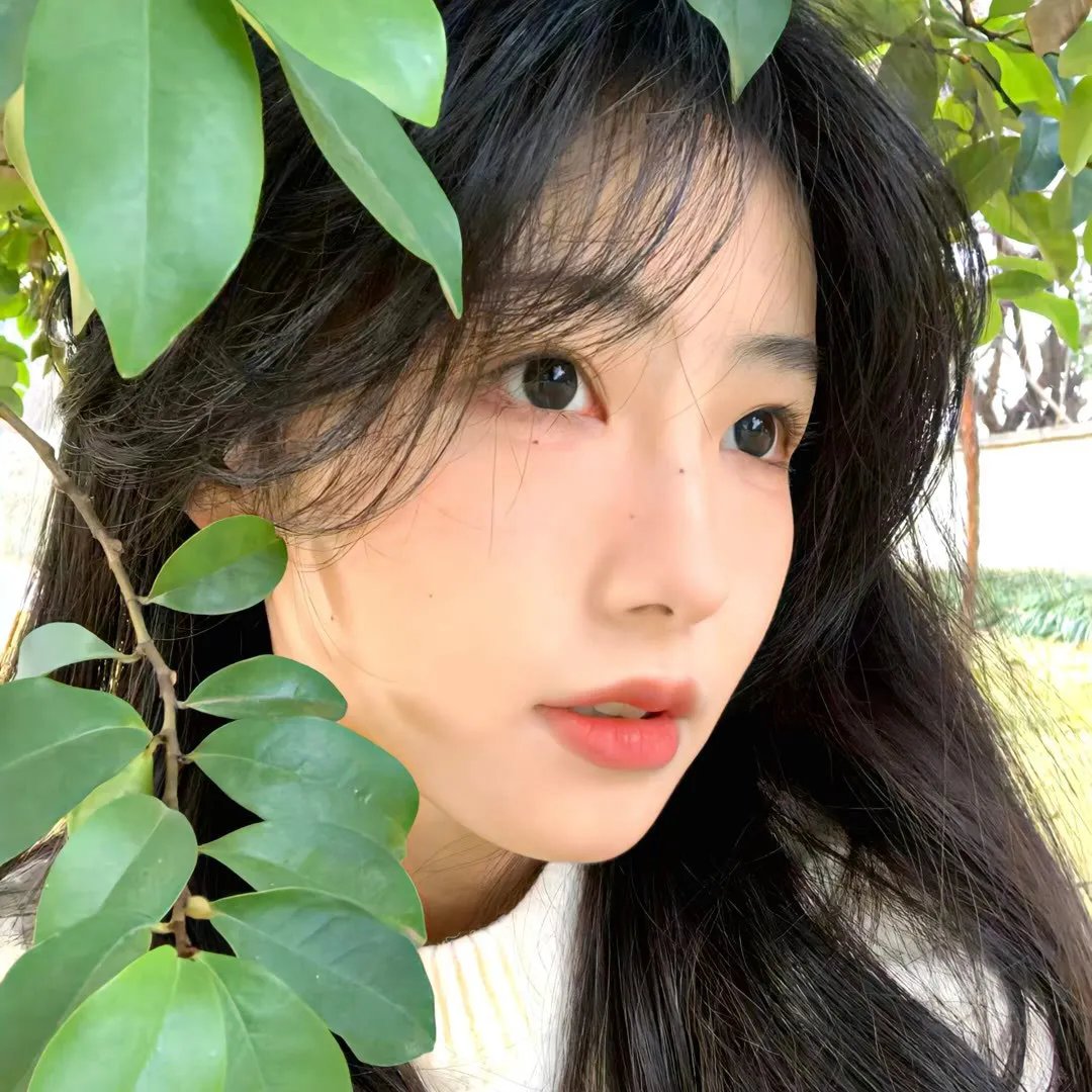 今天的她们免费在线观看